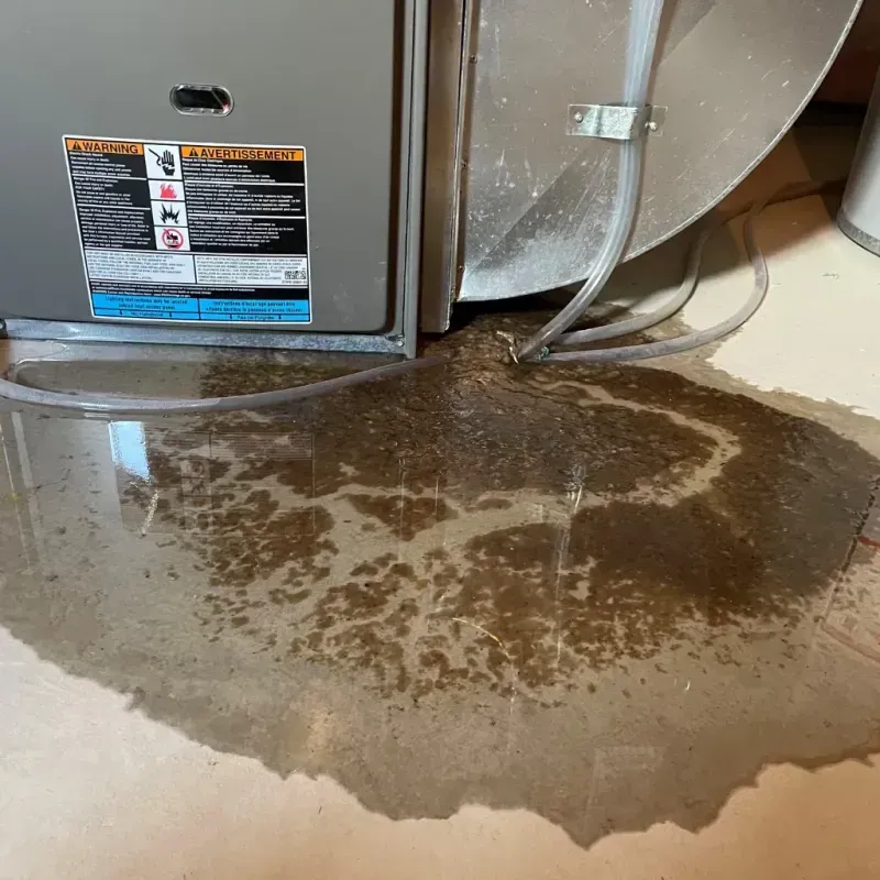 Appliance Leak Cleanup in Warren County, NC